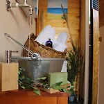 Camping Nature Habitat And Artistic