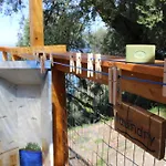 Nature Habitat And Artistic *