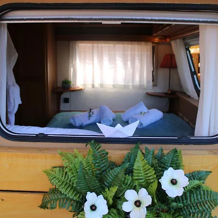 Camping Nature Habitat And Artistic Pentátion