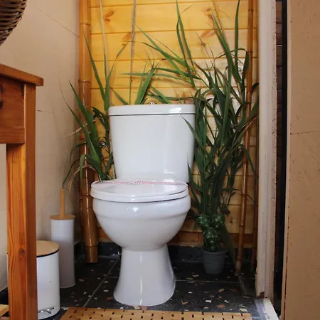 Nature Habitat And Artistic