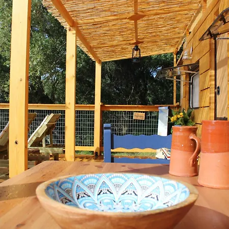 Κάμπινγκ Nature Habitat And Artistic *