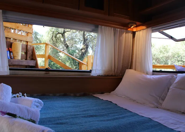 Camping Nature Habitat Pentátion