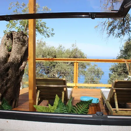 Nature Habitat Campsite