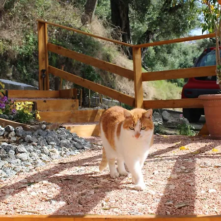 אתר קמפינג Nature Habitat Pentátion