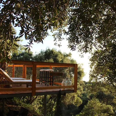 Nature Habitat Pentátion