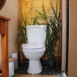 Nature Habitat