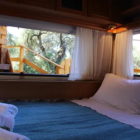 Camping Nature Habitat Pentátion