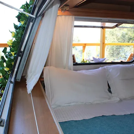 Camping Nature Habitat Pentátion