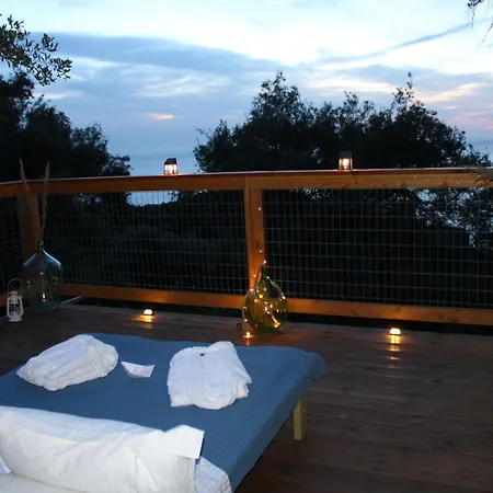 Camping Nature Habitat *