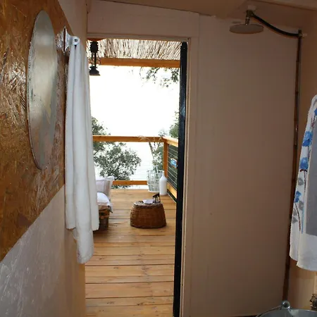 Camping Nature Habitat *