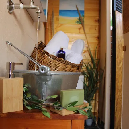 Camping Nature Habitat