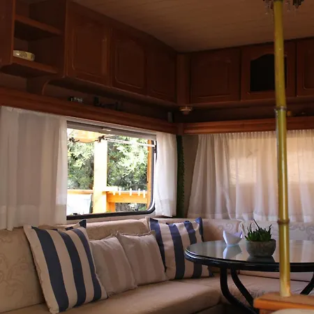 Camping Nature Habitat