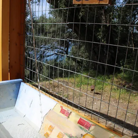 Nature Habitat And Artistic *