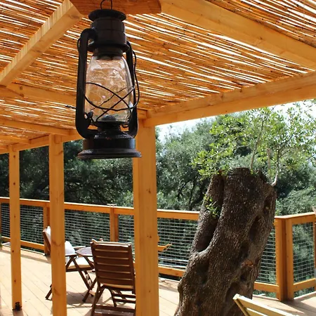 Nature Habitat And Artistic Pentátion