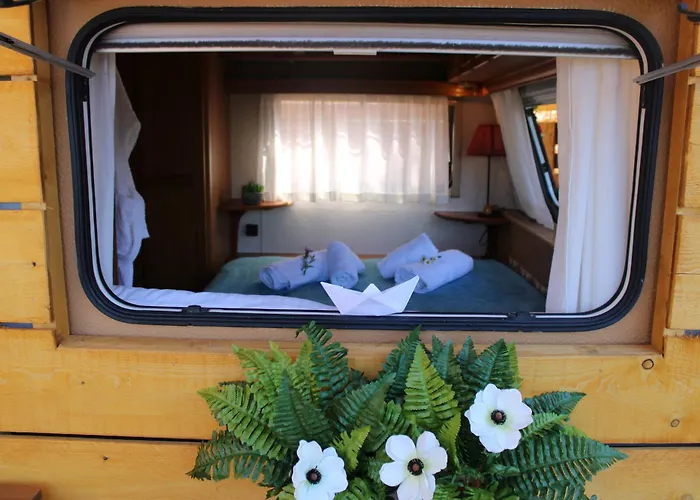 Camping Nature Habitat Pentátion