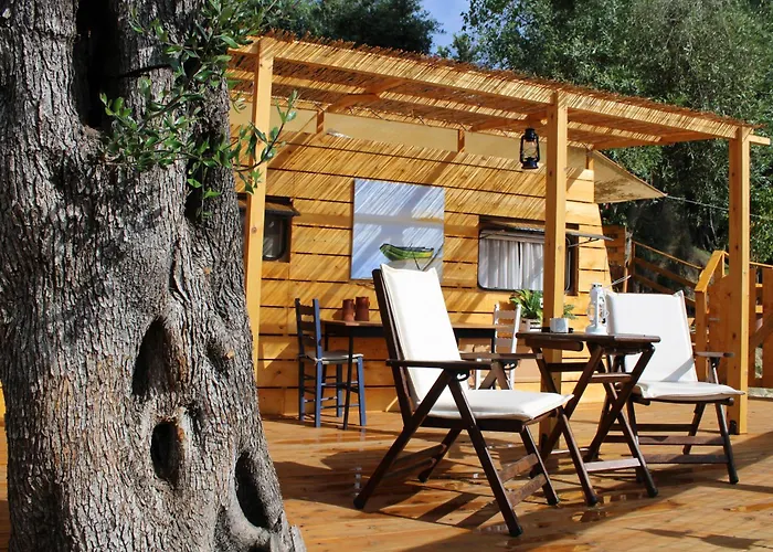Camping Nature Habitat